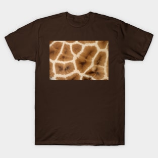 Rothschild's Giraffe Hide T-Shirt